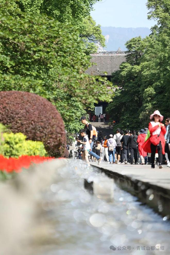 城山都江堰太火爆NPC白娘子被求合影到宕机AG真人游戏第一品牌顶流实锤！这个五一青(图2)